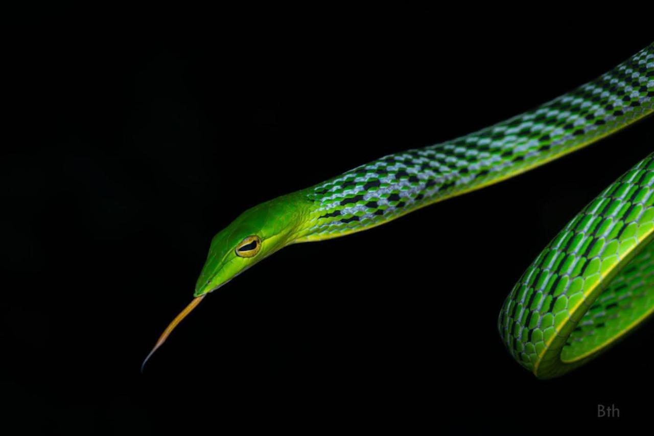 Sinharaja Vini Villa Deniyaya Luaran gambar