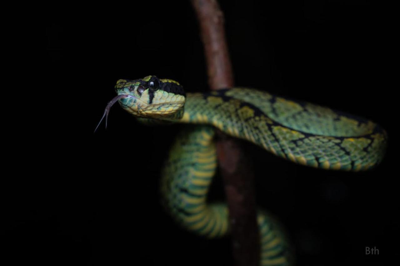 Sinharaja Vini Villa Deniyaya Luaran gambar