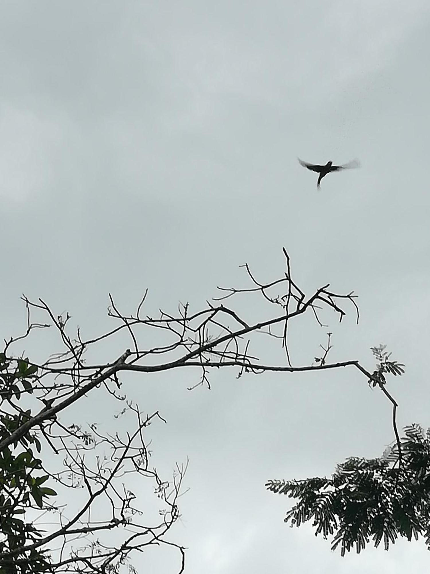 Sinharaja Vini Villa Deniyaya Bilik gambar