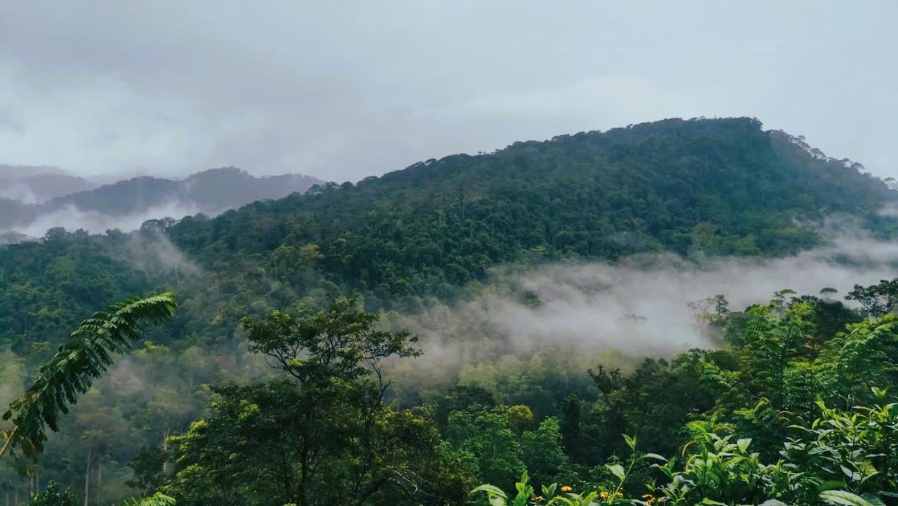 Sinharaja Vini Villa Deniyaya Luaran gambar