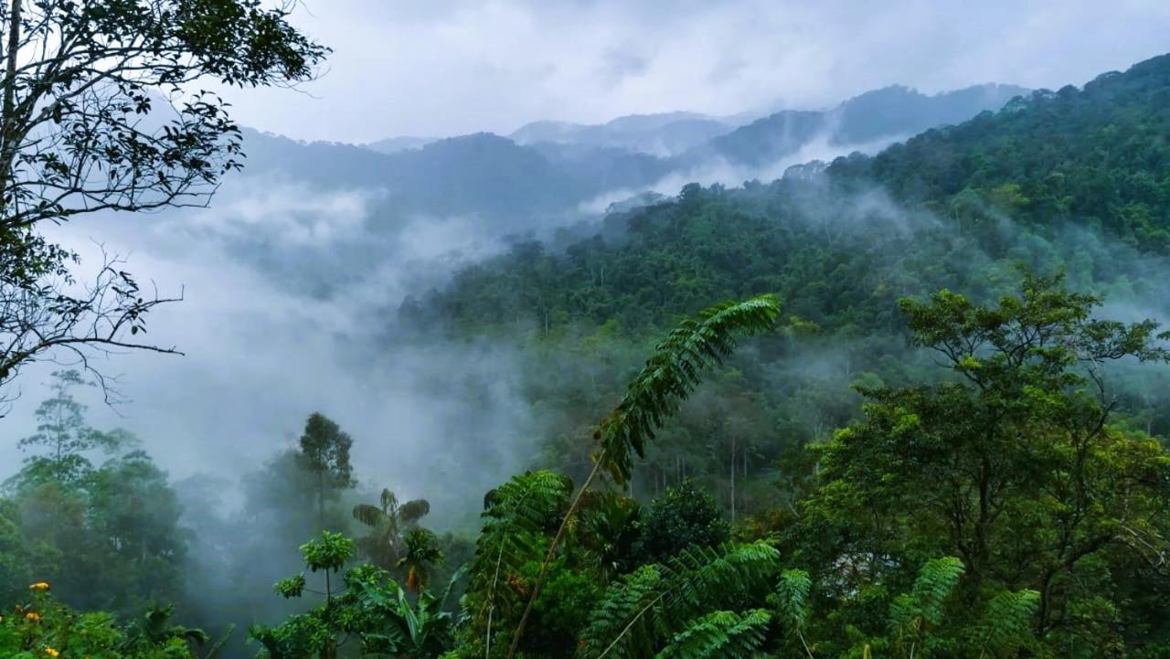 Sinharaja Vini Villa Deniyaya Luaran gambar